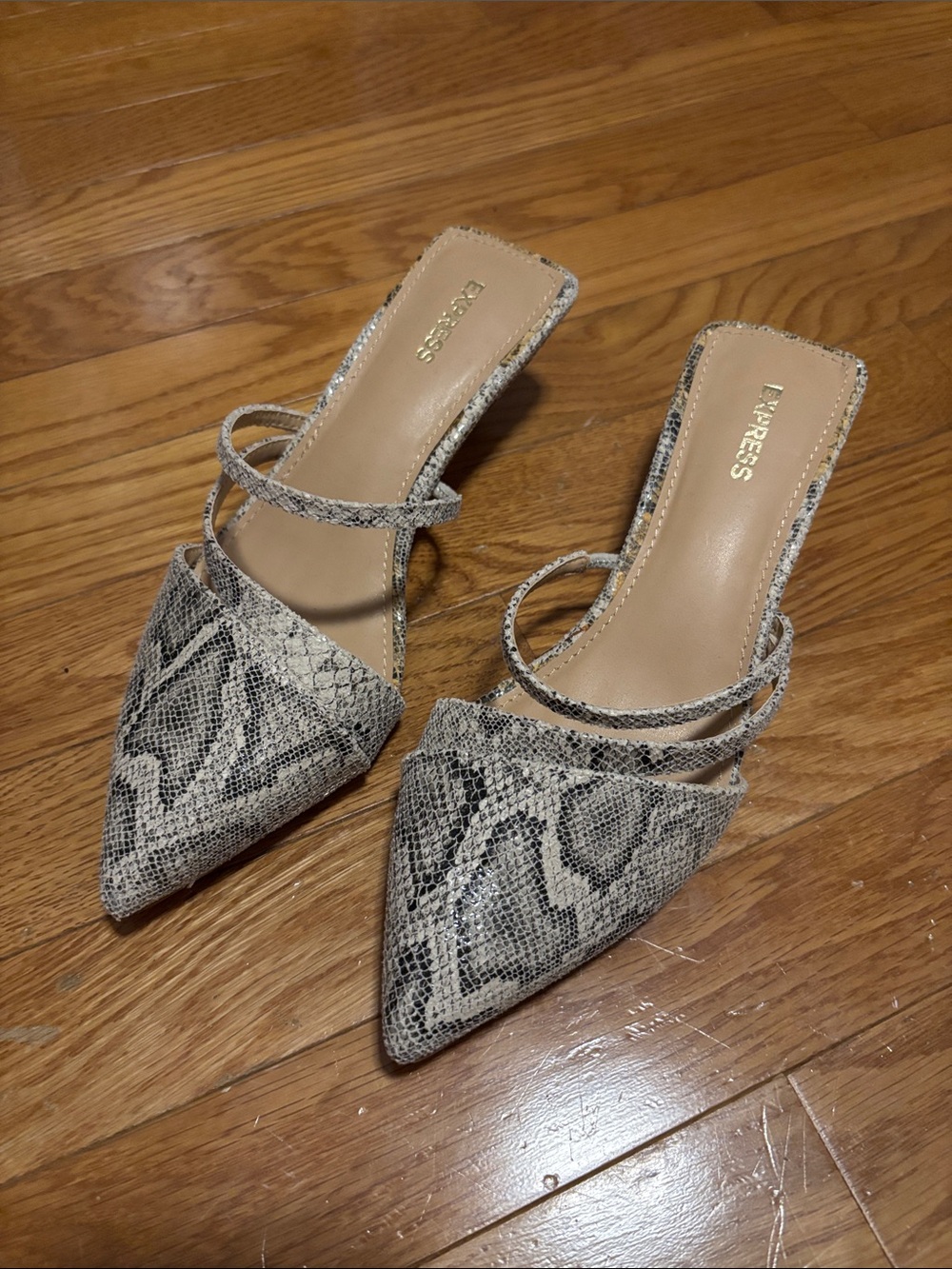 Express Women's Snake-Print Pointed Mule in Black and Cream